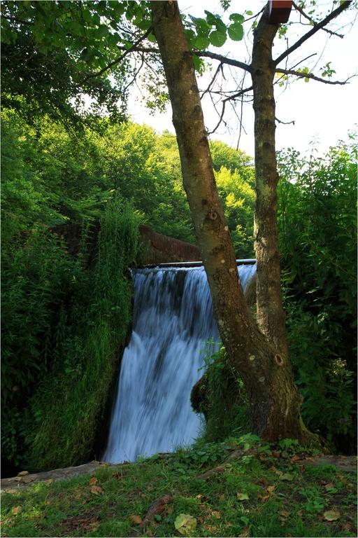 Fruktárium vendégház Trizs Esterno foto