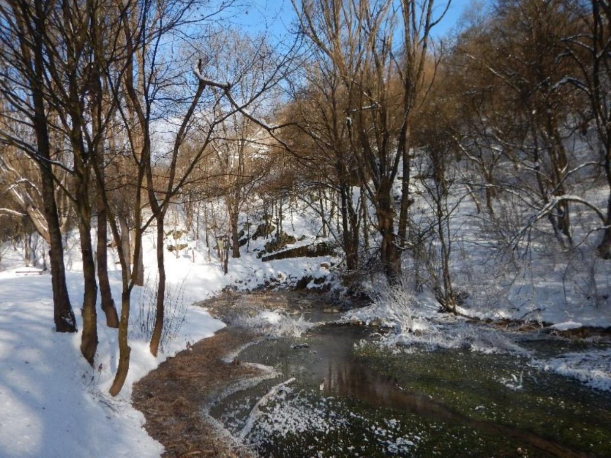 Fruktárium vendégház Trizs Esterno foto