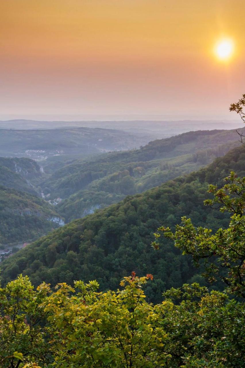 Fruktárium vendégház Trizs Esterno foto